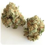 Шишки "White Widow" (Белая вдова) Гидропоника - Бошка VHQ в Старой Руссе Шишки "White Widow" (Белая вдова) Гидропоника - Бошка VHQ в Старой Руссе