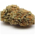 Шишки AK47 (Гидропоника, Бошка) VHQ в Старой Руссе Шишки AK47 (Гидропоника, Бошка) VHQ в Старой Руссе