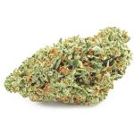 Шишки OG Kush (Гидропоника, бошки) VHQ в Старой Руссе Шишки OG Kush (Гидропоника, бошки) VHQ в Старой Руссе